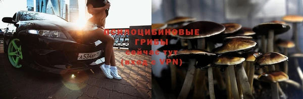 дмт Абдулино