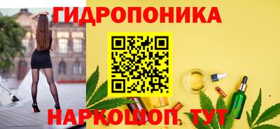 дмт Пенза