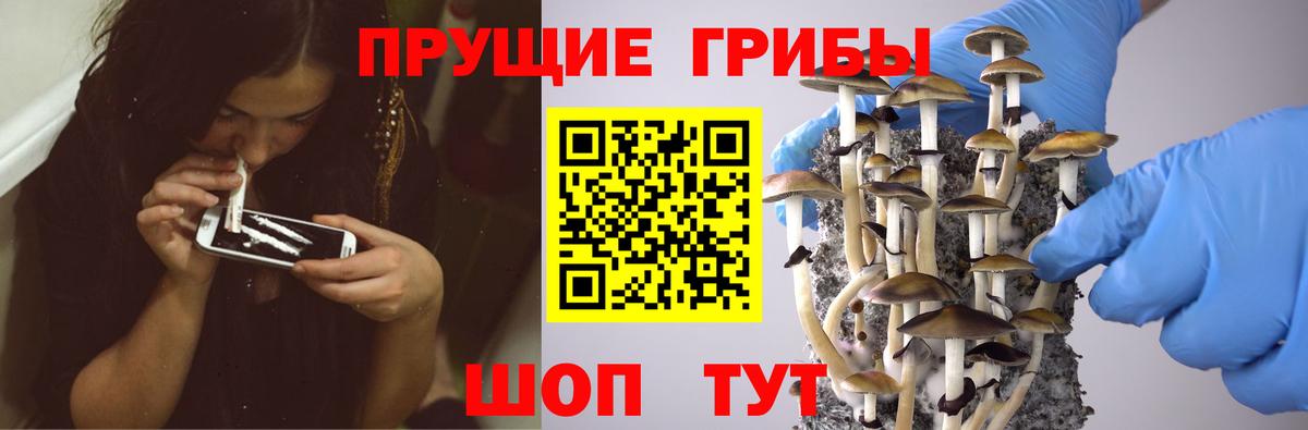 наркотики  Псилоцибиновые грибы мицелий  Вход с VPN  Электросталь  Псилоцибиновые грибы мухоморы 