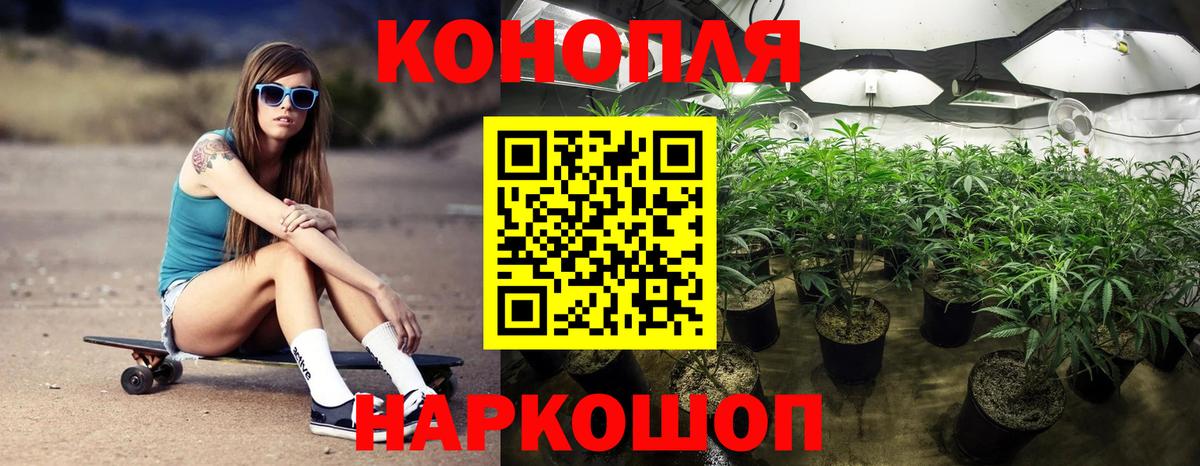 Электросталь  Бошки марихуана SATIVA & INDICA  Каннабис семена  Каннабис THC 21%  Вход с VPN  Бошки Шишки семена 